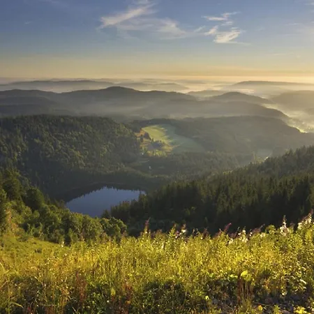 Einzimmerwohnung Mit Parkplatz Ohne Kueche Apartmán *